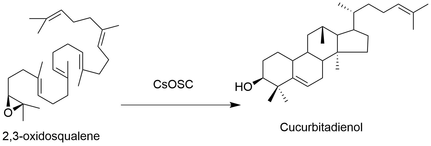 reaction